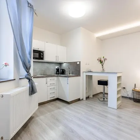 Apartia Skorepka 15, Brno-center * Brünn (Brno)