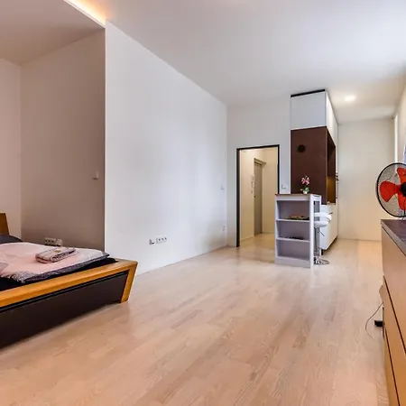 Apartia Skorepka 15, Brno-center *