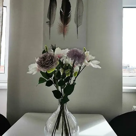 Apartia Skorepka 15, Brno-center Appartement Brno