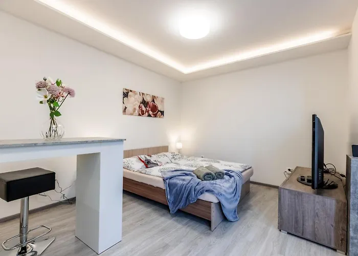 Apartia Skorepka 15, Brno-center Appartement